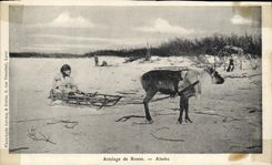 VINTAGE POSTCARD Polar Coach of Alaska reindeer