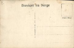 CPA Polaire Finse Bergensbanen