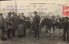 VINTAGE POSTCARD Auvergne Folklore With the fair Cows