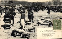 VINTAGE POSTCARD Folklore Auvergne Two families prosperous Cochons Pigs Goes