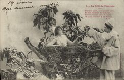 VINTAGE POSTCARD Fantasy the nest of Pierrots
