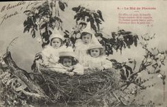 CPA Fantaisie Le nid de Pierrots