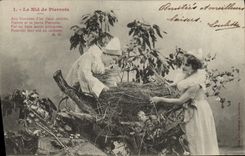 CPA Fantaisie Le nid de Pierrots