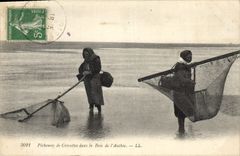 CPA Peche Pecheuses de crevettes dans la baie de l'Authie