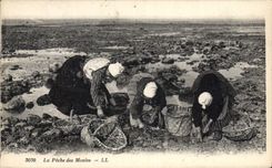 CPA Peche La peche des moules