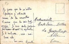 Los perros del perro de la POSTAL de la VENDIMIA buscan el caballo