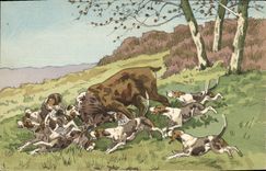 CPA Chien Chiens Chasse a courre Cerf