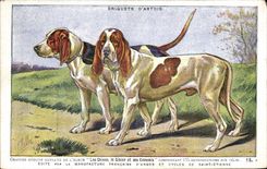 CPA Chien Chiens Chasse a courre Briquets d'Artois