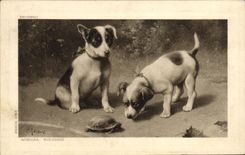 CPA Chien Chiens 