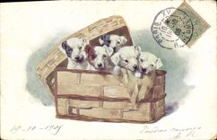 CPA Chien Chiens 