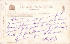 VINTAGE POSTCARD Dog Dogs Yorkshire Burrow