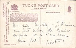 VINTAGE POSTCARD Dog Dogs Fox Burrow