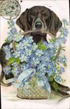 CPA Chien Chiens Fleurs