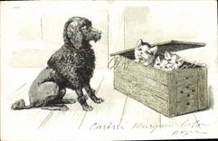 VINTAGE POSTCARD Dog Dogs Cats