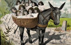 VINTAGE POSTCARD Fantasy Child Baby Ass Mule