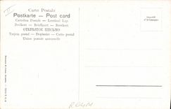 Vintage Postcard Orientalism Caravanserai Camels