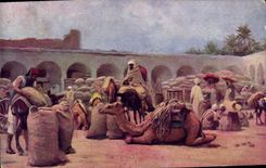 Vintage Postcard Orientalism Camels