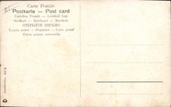 Vintage Postcard Orientalism Camels