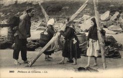 Vintage Postcard Fishes Sinning shrimps