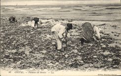 Vintage Postcard Fishes Onival Pecheurs of moulds