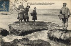 Vintage Postcard Fishes Expecting the low tide for the gathering of the moulds