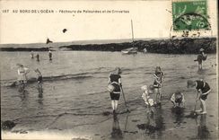 Vintage Postcard Fishes Sinning clams and shrimps