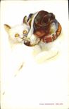 Vintage Postcard Dog Dogs Pup Belgian Fox terrier burrow