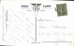 Vintage Postcard Dog Dogs Pup Belgian Fox terrier burrow