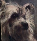 Vintage Postcard Dog Dogs Pup Cat