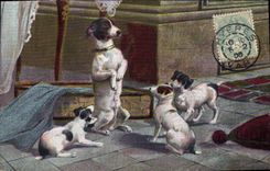CPA Chien Chiens Chiot 