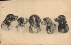 CPA Chien Chiens Chiot 