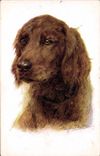 CPA Chien Chiens Chiot 