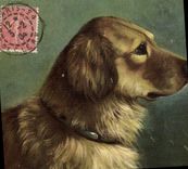 CPA Chien Chiens Chiot 