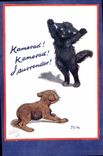 CPA Chien Chiens Chiot Chat