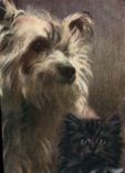 CPA Chien Chiens Chiot Chat