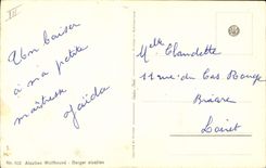 Vintage Postcard Dog Dogs Pup Alsatian Shepherd