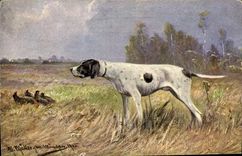 CPA Chien Chiens Chiot 