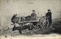 Vintage Postcard Folklore Auvergne Attachment Donkey Mule