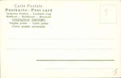 Vintage Postcard Imagination Illustrator Children Chicks