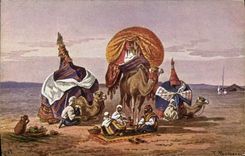 Vintage Postcard Imagination Orientalism Camel