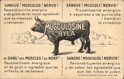 CPA Fantaisie Orientalisme Kabylie Publicite Musculosine Byla 