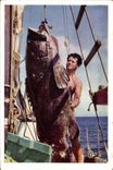 Postal Pesca Mar Rojo Babosa de 150 kilogs