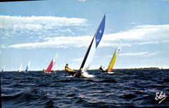 CPM Bateau Bassin d'Arcachon Voiliers en regates sur le bassin