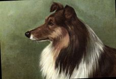 CPA Chien Chiens Chiot 