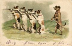 Vintage Postcard Chien Dogs Pup Drives out Rifle