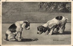 CPA Chien Chiens Chiot 
