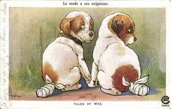 CPA Chien Chiens Chiot La mode a ses exigences 