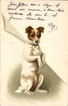 CPA Chien Chiens Chiot 
