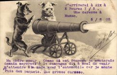 CPA Chien Chiens Chiot Canon 