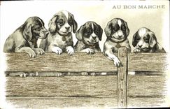 Vintage Postcard Dog Dogs Pup In Bon Marché